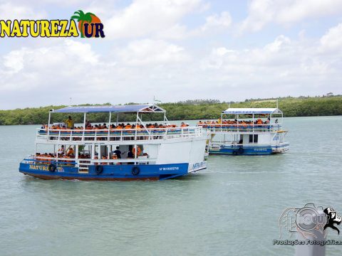 29872078 1530351923729289 2191202711910051757 o 1 480x360 - Projeto Barco Escola