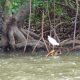 Copia de DSC06494 80x80 - Os passeios de barco